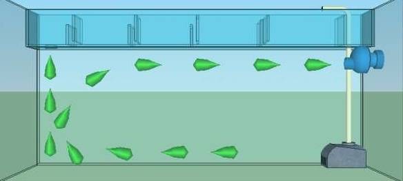 水族造浪泵该如何使用？有什么作用？